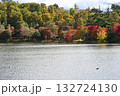 長野県の蓼科湖畔の紅葉の風景 132724130