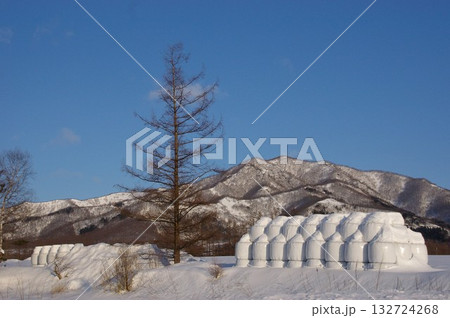 冷涼な気候寒冷地の畜産乳牛の発酵飼料サイレージフイルム3 132724268