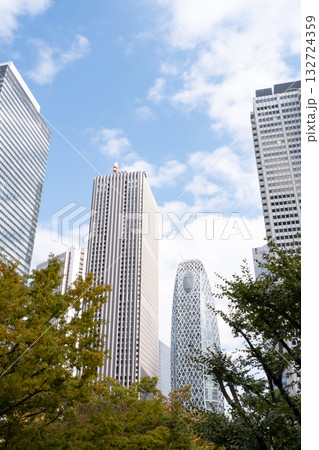 西新宿の高層ビル群の風景 132724359