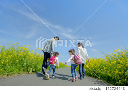 菜の花の咲く遊歩道を歩く4人家族 132724448