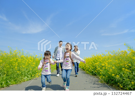 菜の花の咲く遊歩道を歩く4人家族 132724467
