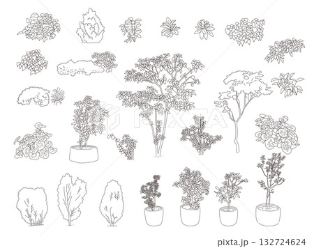 外構・庭植栽のイラスト 132724624