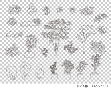 外構・庭植栽のイラスト 132724624