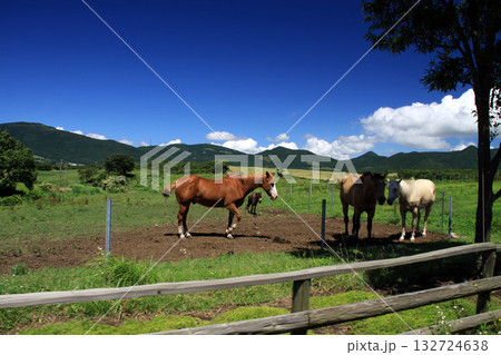 久住高原 132724638