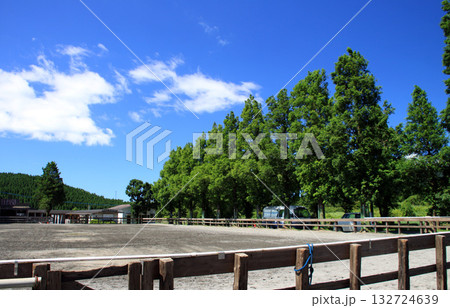 久住高原 132724639