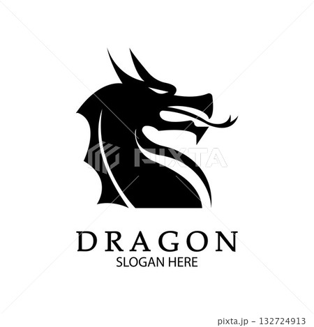 Dragon vector icon illustration 132724913