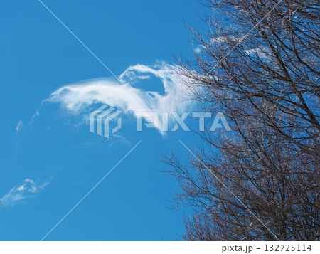 岩岳スノーフィールド山頂に現れたちぎれ雲 132725114