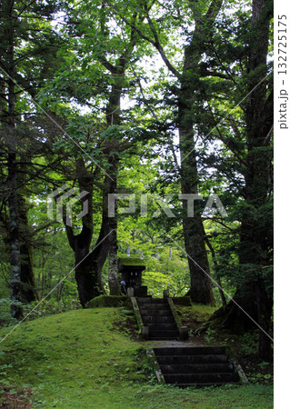 戸隠神社奥社 戸隠神社奥社 132725175