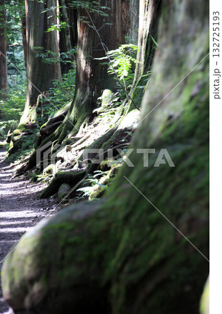 戸隠神社奥社 戸隠神社奥社 132725193