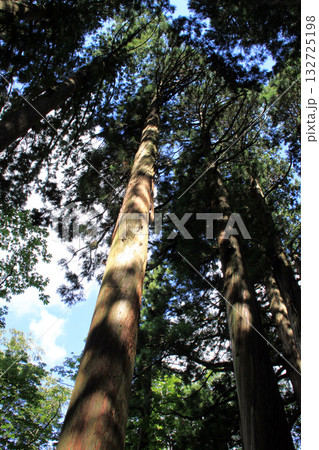 戸隠神社奥社 戸隠神社奥社 132725198