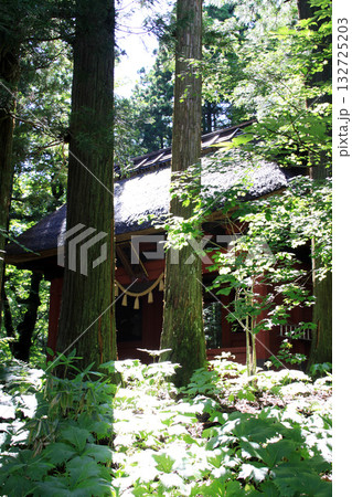 戸隠神社奥社 戸隠神社奥社 132725203