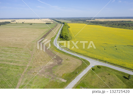 Aerial view of field with flowering rapeseed in Siberia, the sky, forests and fields to the horizon Aerial view of field with flowering rapeseed in Siberia, the sky, forests and fields to the horizon 132725420