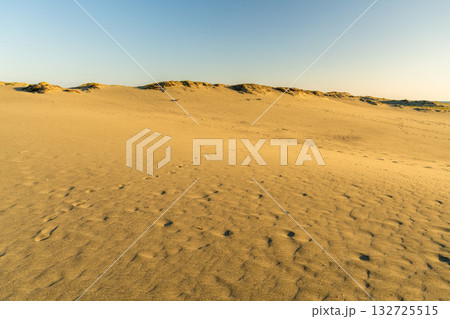 《静岡県》中田島砂丘・夕暮れの風景 132725515