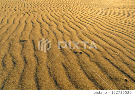 《静岡県》中田島砂丘・夕暮れの風景 132725520