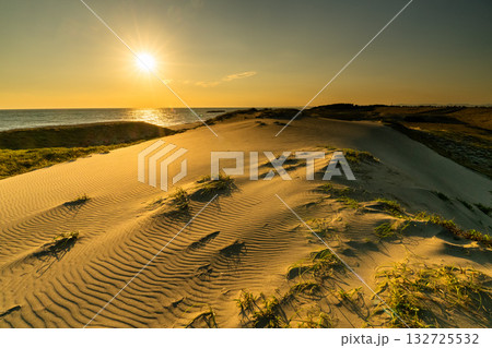 《静岡県》中田島砂丘・夕暮れの風景 132725532