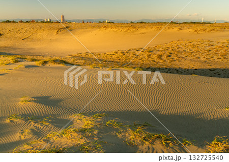 《静岡県》中田島砂丘・夕暮れの風景 《静岡県》中田島砂丘・夕暮れの風景 132725540