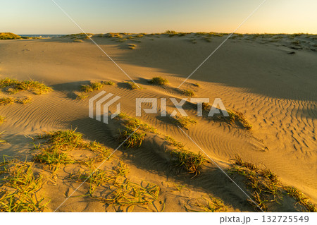 《静岡県》中田島砂丘・夕暮れの風景 《静岡県》中田島砂丘・夕暮れの風景 132725549