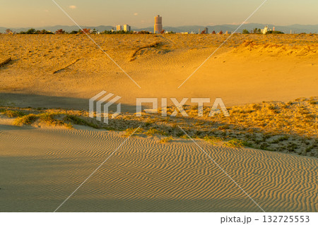 《静岡県》中田島砂丘・夕暮れの風景 《静岡県》中田島砂丘・夕暮れの風景 132725553