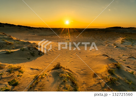 《静岡県》中田島砂丘・夕暮れの風景 132725560