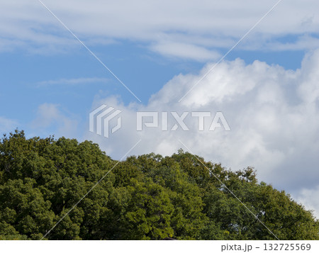 山の樹木と空の風景 132725569