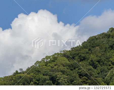 山の樹木と空の風景 132725571