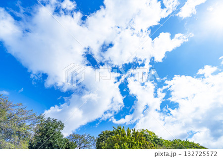 青空と雲と木立 132725572