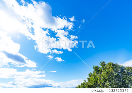 青空と雲と木立 青空と雲と木立 132725575