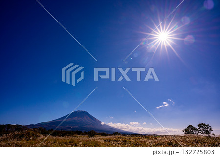 【静岡県】朝霧高原のススキ野原と富士山 【静岡県】朝霧高原のススキ野原と富士山 132725803