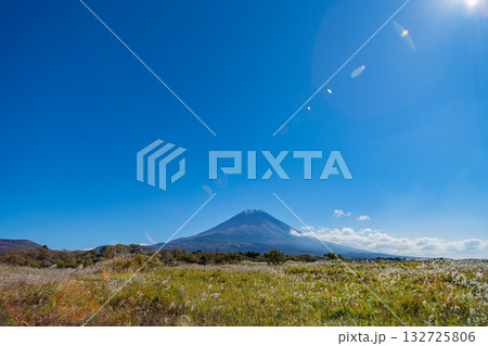 【静岡県】朝霧高原のススキ野原と富士山 132725806