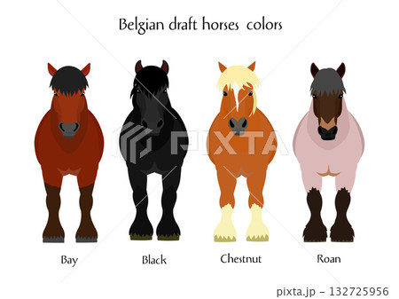 輓馬、正面 132725956