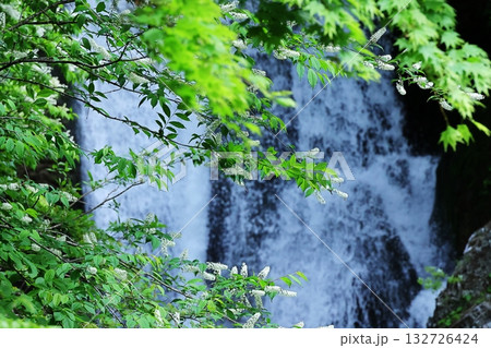 関山大滝 関山大滝 132726424