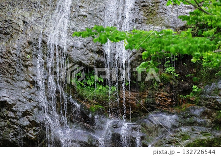 関山大滝 関山大滝 132726544