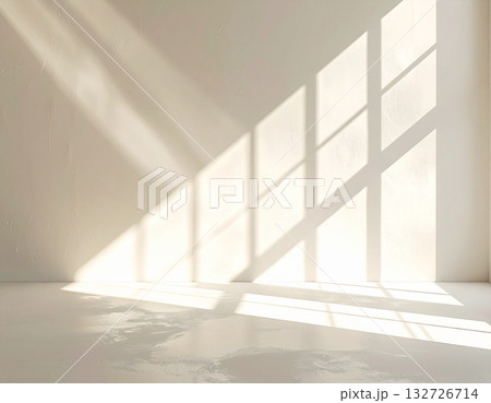Minimal Interior with Light and Shadow 132726714