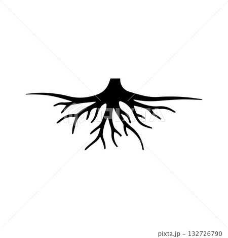 Letter-inspired fibrous root expressing creative identity and growth 132726790