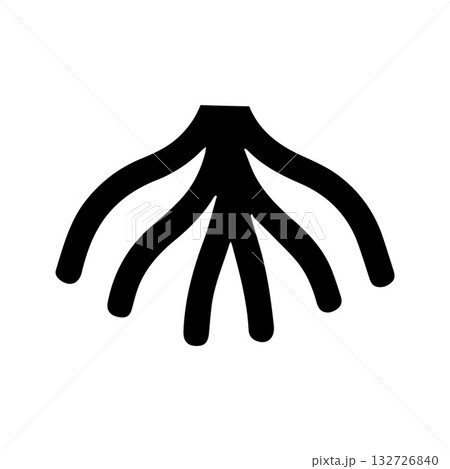 Hexagonal framed root showing structured harmony and balanced design 132726840