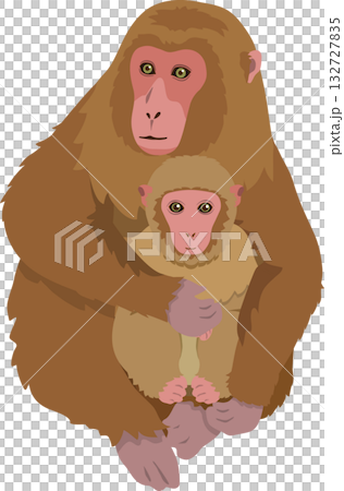 一隻棕色猴子被抱著 132727835