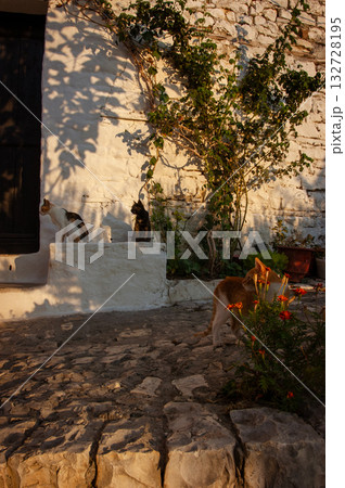Sunset over the town of Berat on the Osum River, known for its white Ottoman houses. Also called the 'City of a Thousand Windows,' it is built against the hillside below the citadel. 132728195