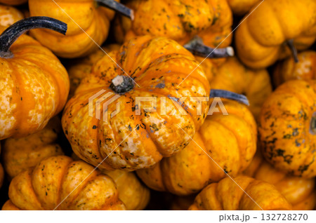 Close-up pile of pumpkins Fresh orange pumpkins stacked tightly, perfect seasonal harvest background for autumn and Halloween. Close-up pile of pumpkins Fresh orange pumpkins stacked tightly, perfect seasonal harvest background for autumn and Halloween. 132728270
