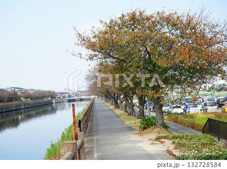 秋の金山川散歩 132728584