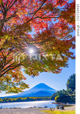 【山梨県】紅葉が始まった精進湖畔と初冠雪の富士山 【山梨県】紅葉が始まった精進湖畔と初冠雪の富士山 132729485