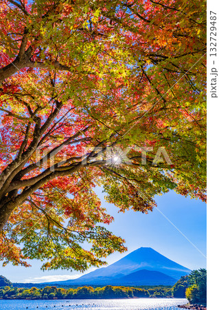 【山梨県】紅葉が始まった精進湖畔と初冠雪の富士山 【山梨県】紅葉が始まった精進湖畔と初冠雪の富士山 132729487