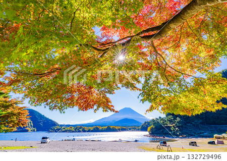 【山梨県】紅葉が始まった精進湖畔と初冠雪の富士山 【山梨県】紅葉が始まった精進湖畔と初冠雪の富士山 132729496