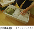 高級なメロンが来た　～rich watermelon 132729832