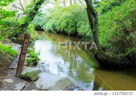 秋のカッパ淵　岩手県遠野市 132730272