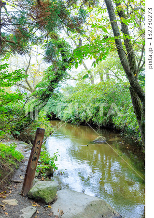 秋のカッパ淵　岩手県遠野市 132730273