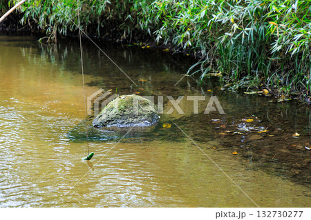 秋のカッパ淵　岩手県遠野市 132730277