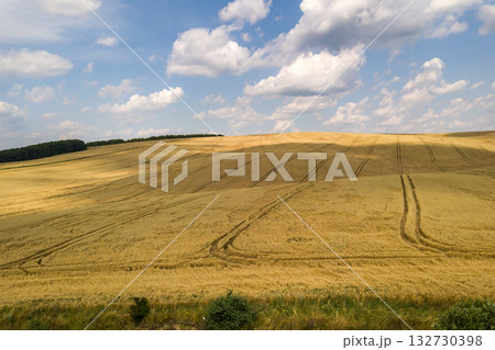 Aerial view of yellow agriculture wheat field ready to be harvested in late summer. Aerial view of yellow agriculture wheat field ready to be harvested in late summer. 132730398