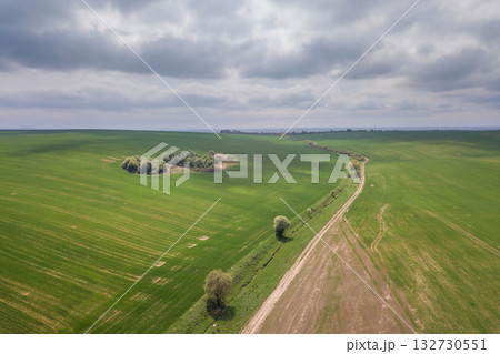 Aerial view of green agriculture fields in spring with fresh vegetation after seeding season. 132730551