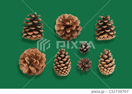 Pine cones artfully arranged on a festive green background Pine cones artfully arranged on a festive green background 132730707