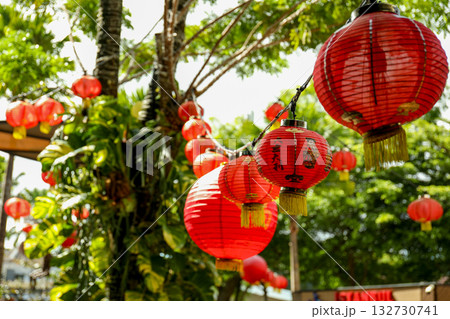 Vibrant red lanterns suspended among green foliage Vibrant red lanterns suspended among green foliage 132730741